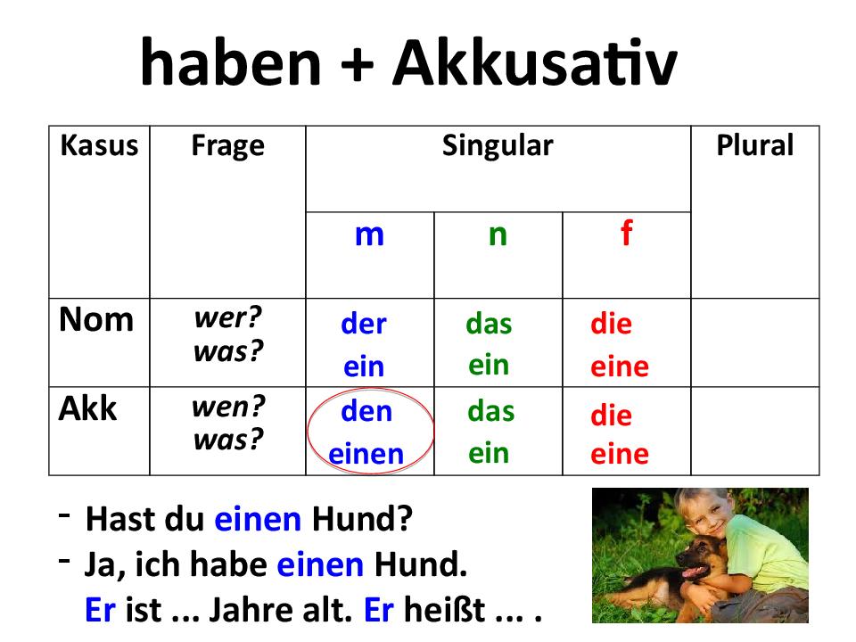 Die eine. Haben Аккузатив. Глагол haben Akkusativ. Haben Akkusativ правило. Артикли в немецком языке номинатив и Аккузатив.