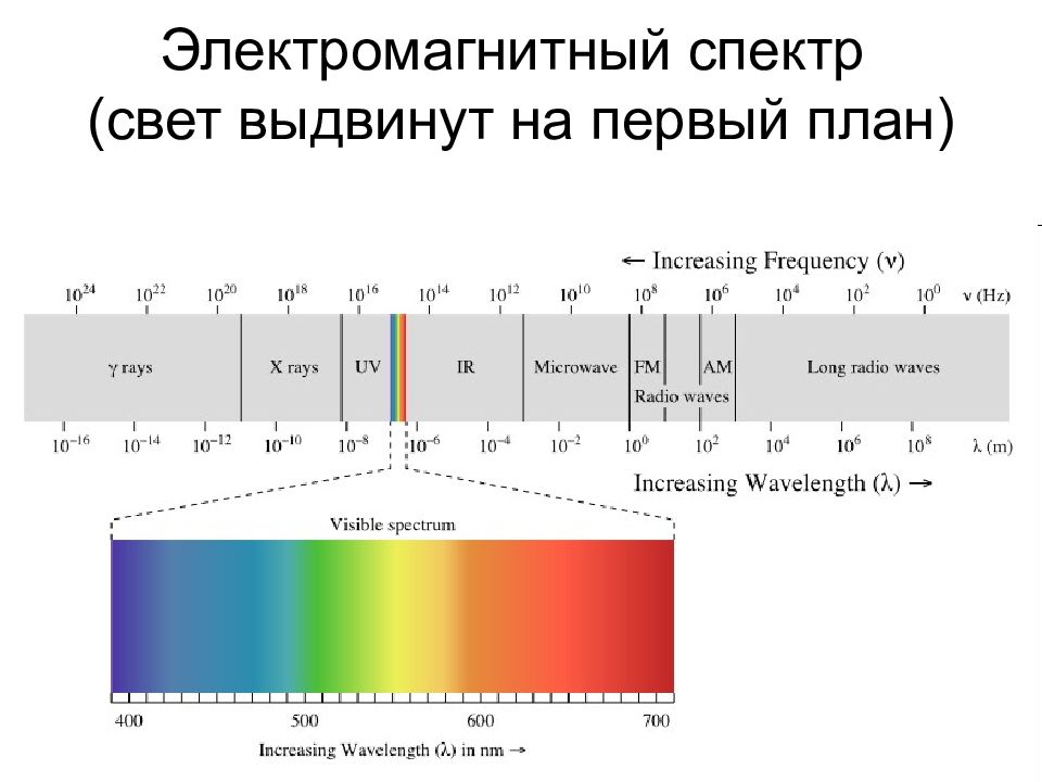 На рисунке представлена шкала электромагнитных волн используя данные шкалы выберите из предложенного