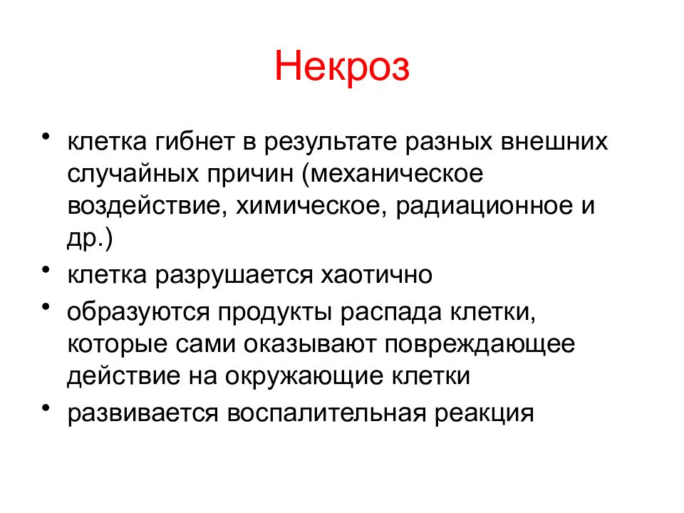 Удаление клеток. Вывод о клеточном цикле. Вывод о митозе в клетке. Продукты распада клеток. Разрушение клеток причины.