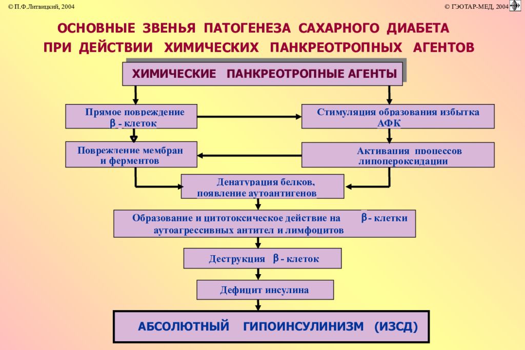 Отметьте основные. Основные звенья патогенеза сахарного диабета. Основные звенья патогенеза сахарного. Основное звено патогенеза. Первичное звено патогенеза сахарного диабета.