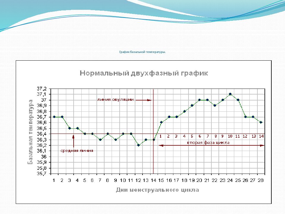 Режим цикла. Температурный график менструационного цикла. График базальной температуры норма. График базальной температуры цикла. График базальной температуры менструационного цикла.