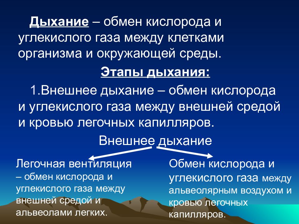 Обмен кислорода. Внешнее дыхание. Понятие о внешнем дыхании. Внешнее дыхание презентация. Обмен кислорода и углекислого газа.