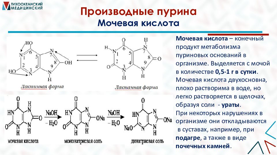 Система пурина