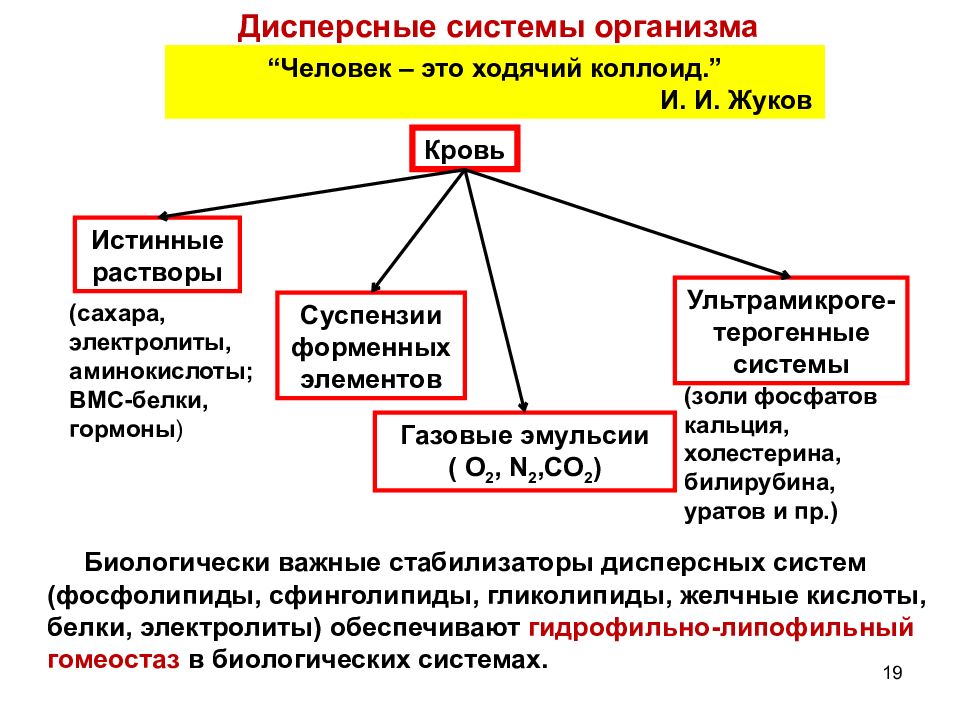 Дисперсные системы. Плазма крови как дисперсная система. Дисперсные системы в организме человека. Водно дисперсные системы организма. Человек и дисперсная система.