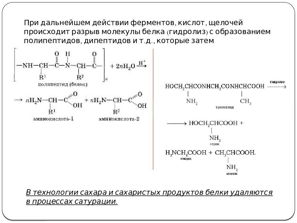 Дипептид глицина гидролиз