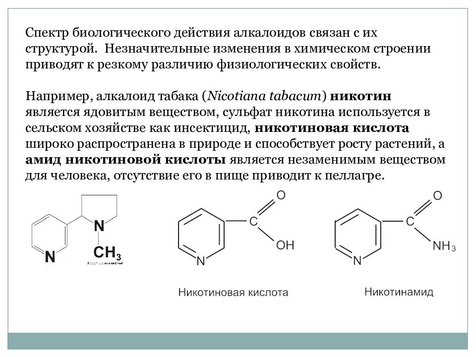 Свойства никотина. Амид никотиновой кислоты. Метаболизм никотина схема. Метаболизм алкалоидов. Биотрансформация никотина.