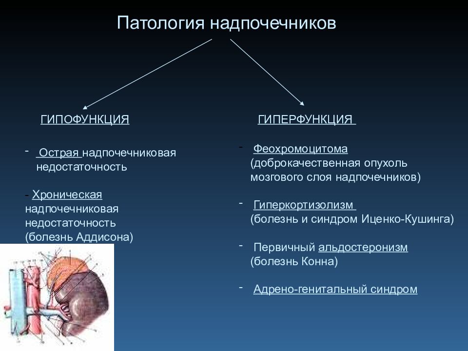 Недостаточность надпочечников презентация