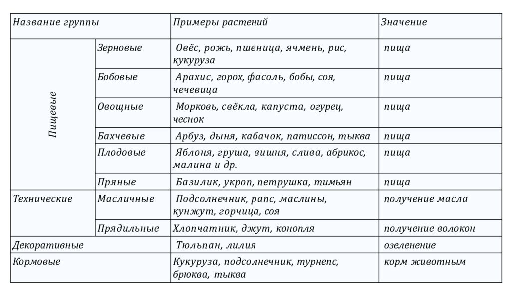 Рассмотрите изображения шести представителей мира растений. Предложите