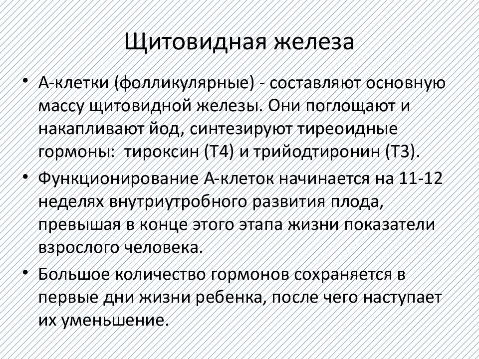 Анатомо физиологические особенности щитовидной железы у детей презентация