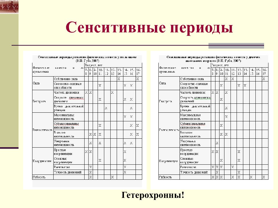 Анатомо физиологические основы мышечной деятельности презентация