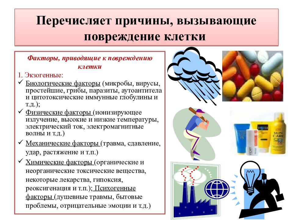 Перечислите причины. Причины повреждения клеток: физические, химические, биологические.. Причины вызывающие повреждение клетки. Факторы вызывающие повреждение клетки. Физ факторы вызывающие повреждение клетки.