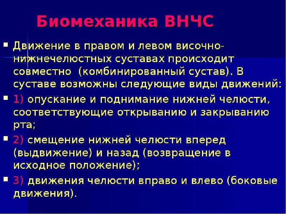 Биомеханика нижней челюсти презентация