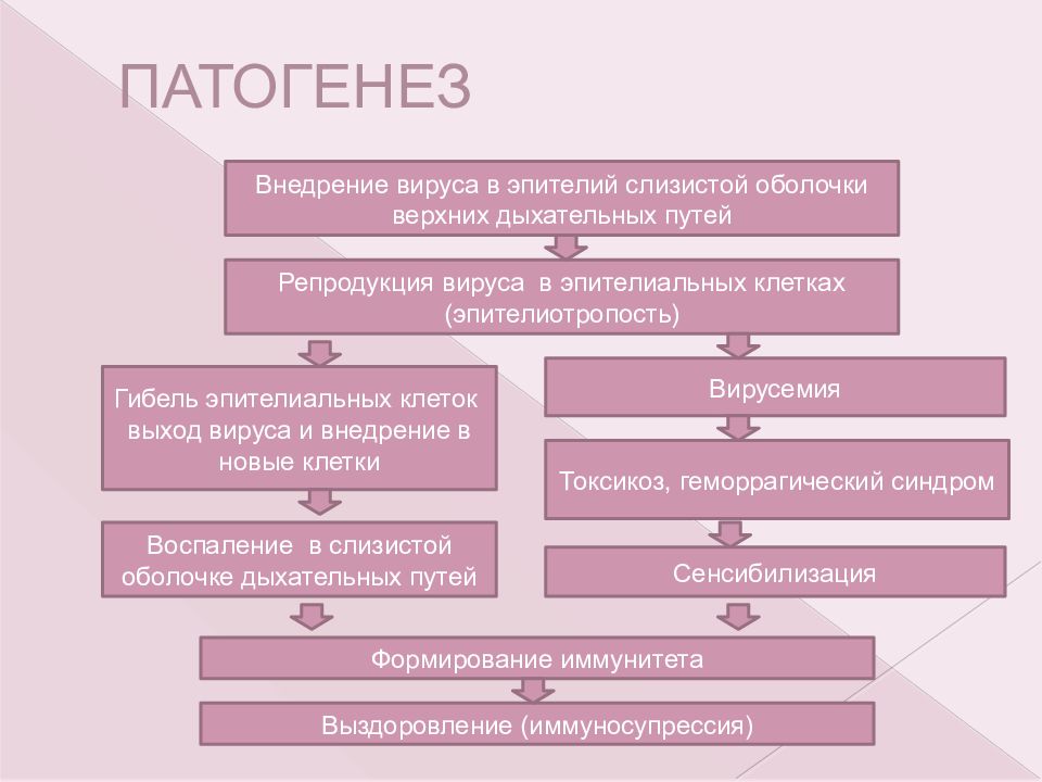 Патогенез орви схема