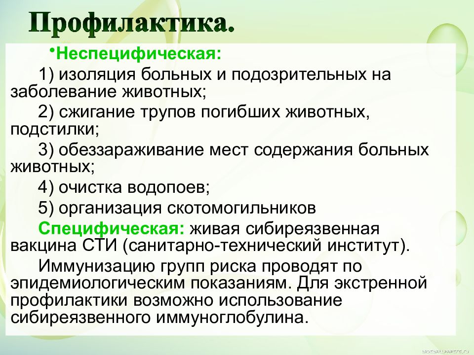 Презентация о чуме