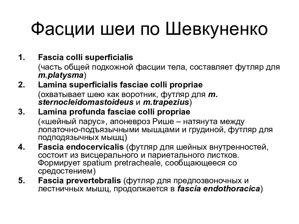 Шейная фасция. Классификация по Шевкуненко. Классификация мышц шеи по Шевкуненко. Фасции шеи по Шевкуненко. Фасции гер по Шевкуненко.