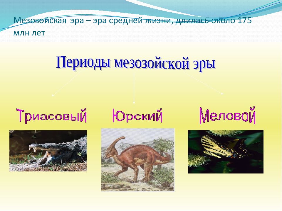 Презентация по мезозойской эре