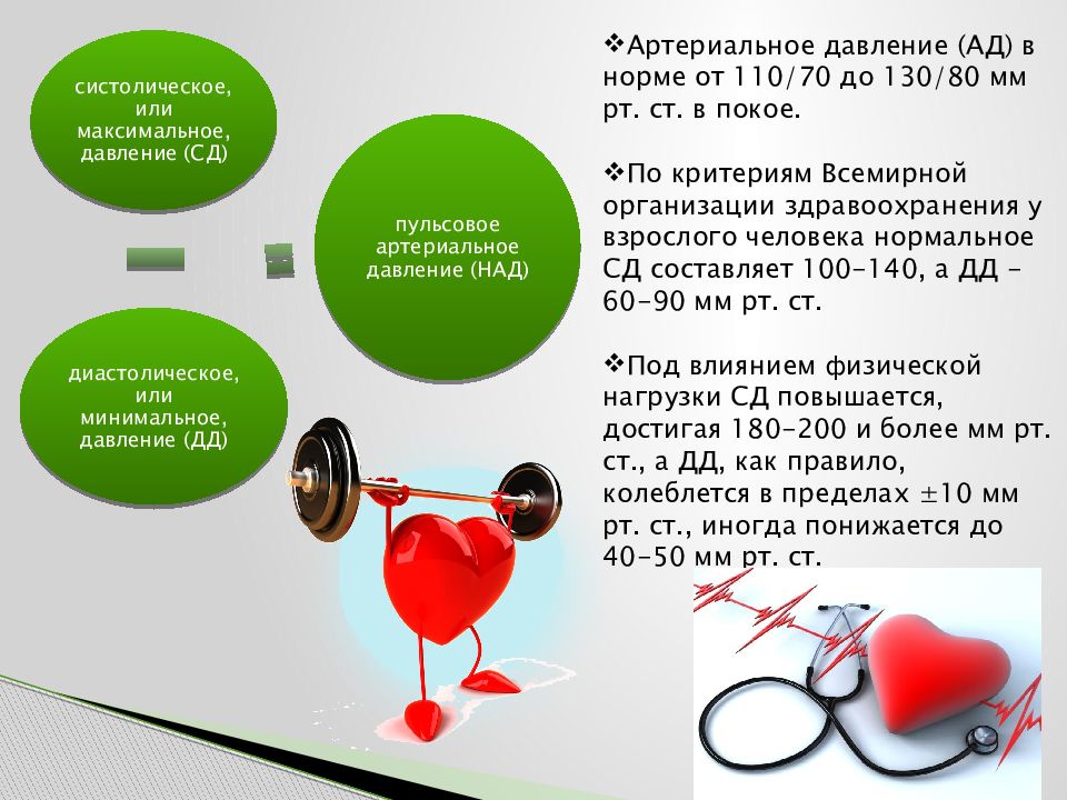 Давление 70. Нормальное артериальное давление после физической нагрузки. Систолическое давление норма. Систолическое артериальное давление норма. Артериальное давление в покое норма.