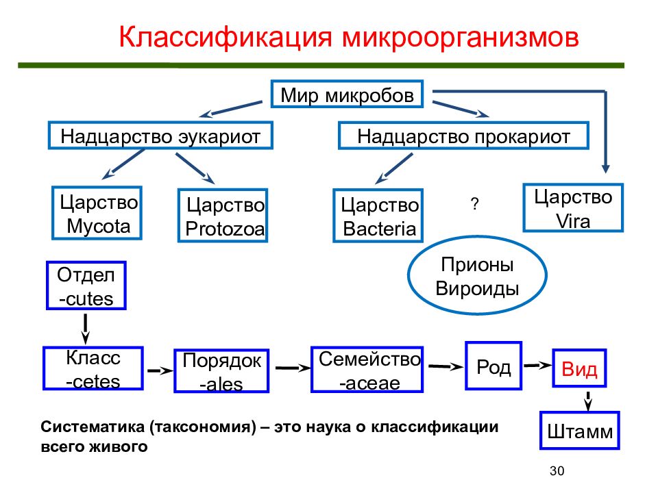 Классификация микроорганизмов микробиология презентация