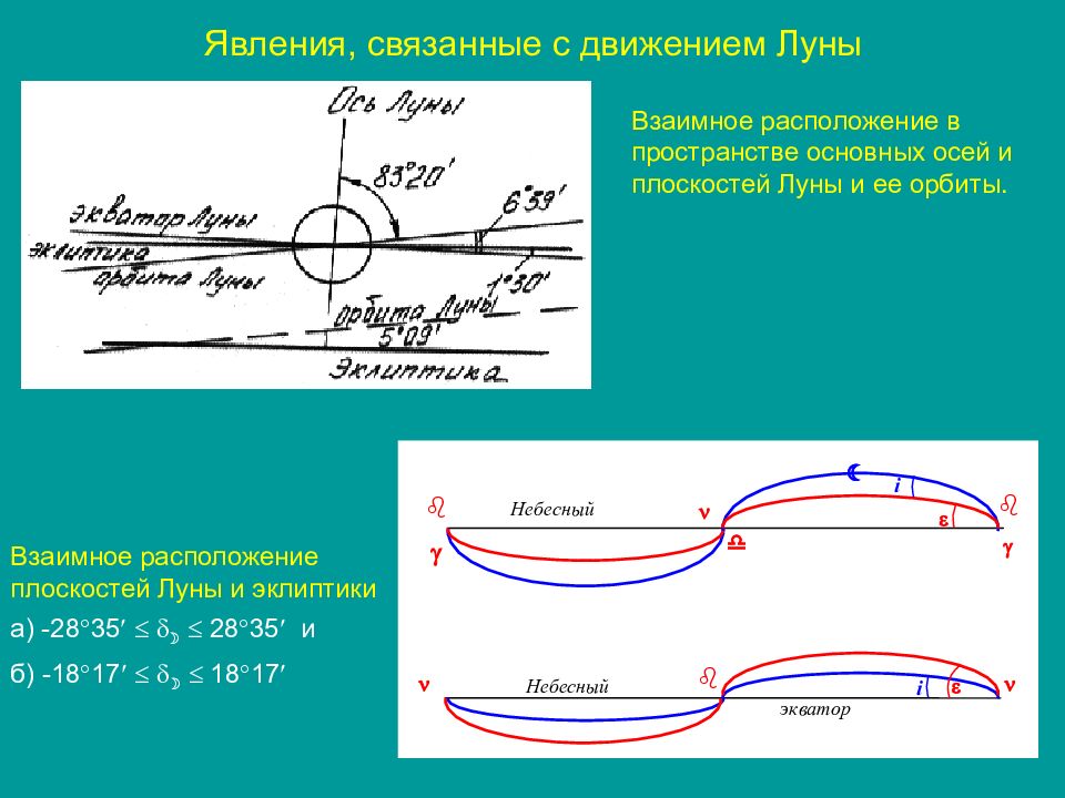 Общая ось. Пеоаксима взаимного расположения чвяханных с фотодыханием.