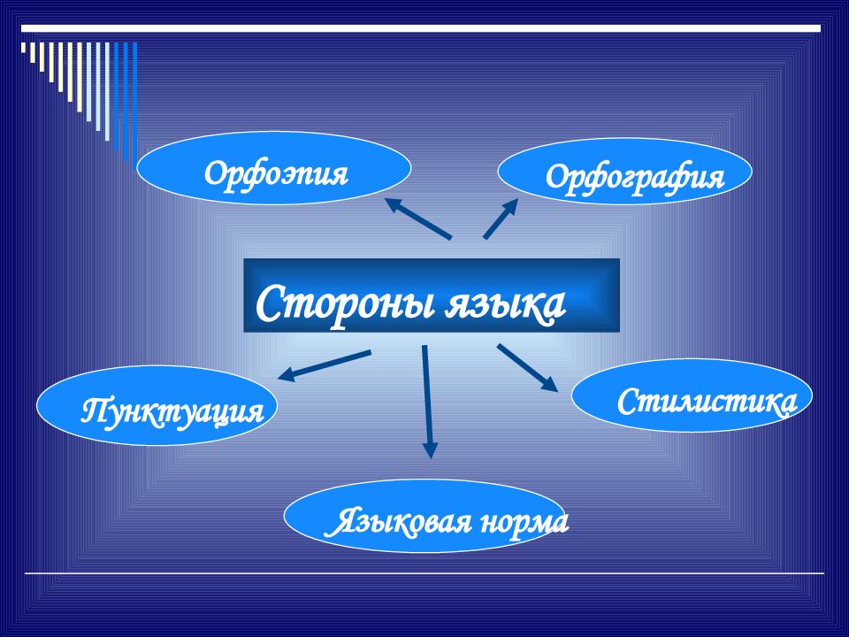 Единицы языка уровни языковой системы презентация 10 класс