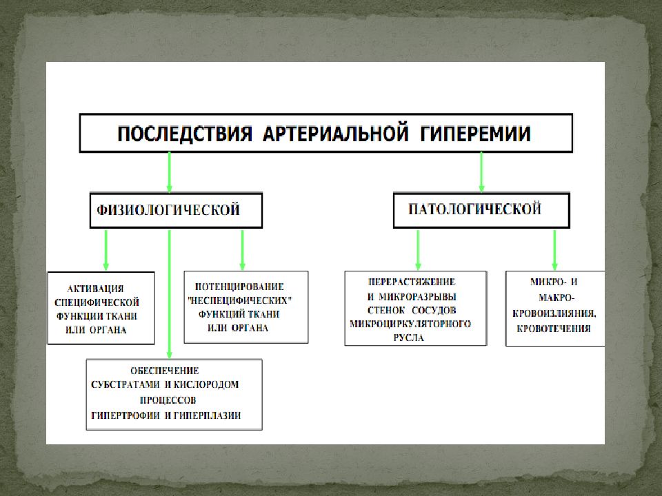 Артериальная гиперемия патофизиология презентация