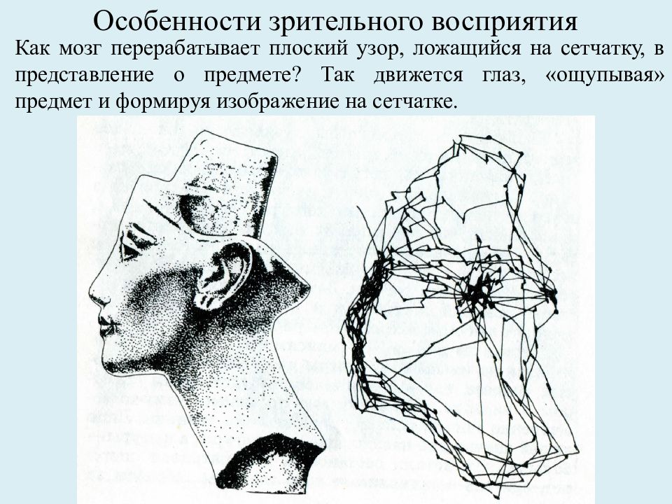 Ретинальное изображение это в психологии