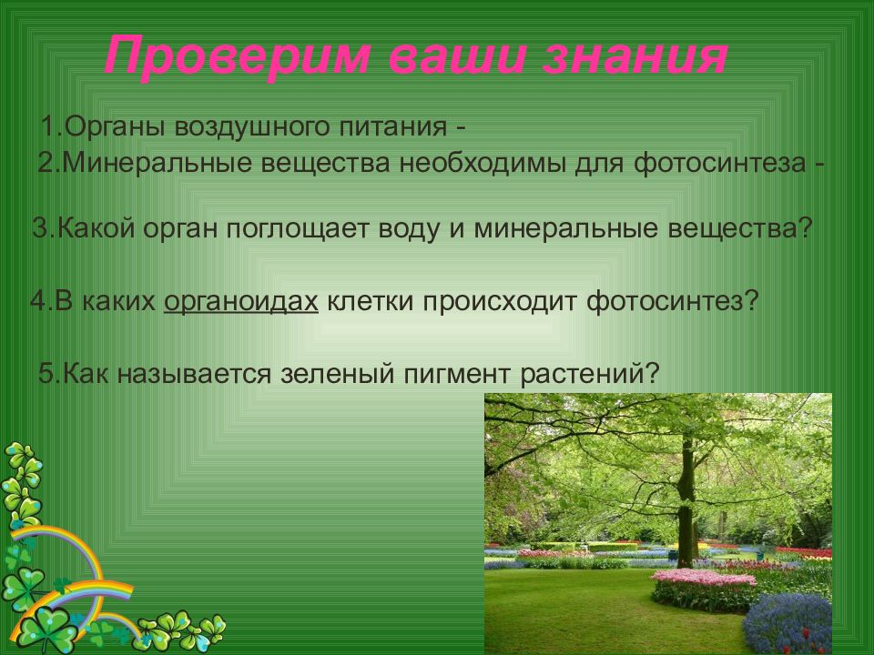 Воздушное питание растений какой орган. Органы воздушного питания. Дыхание растений 6 класс биология презентация. Минеральные вещества необходимы для фотосинтеза. Презентация на тему воздушное питание- фотосинтез.