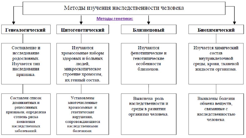 Методы биологии картинки