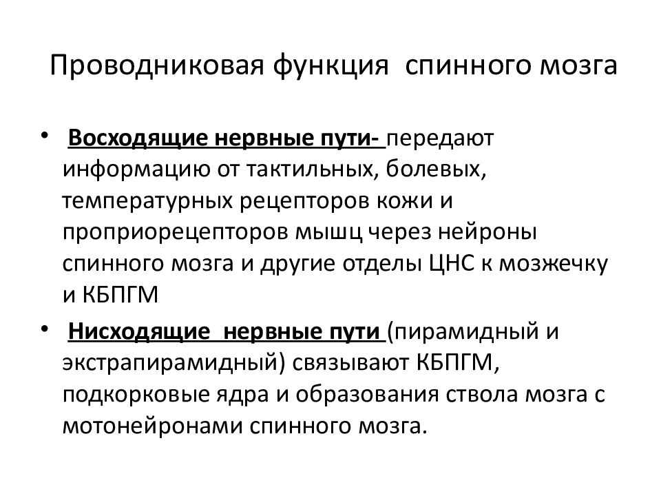 Проводниковая функция спинного мозга