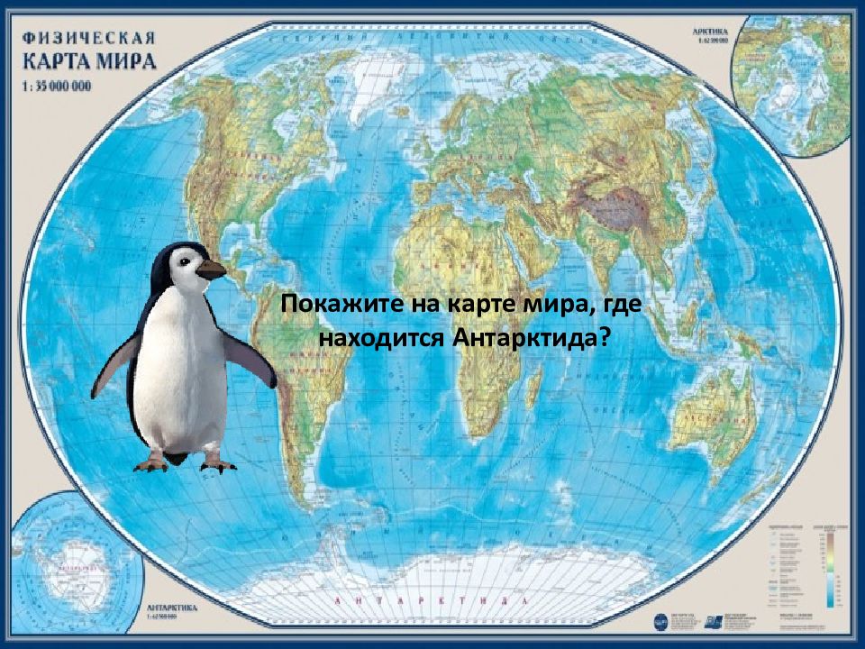 Где обитает пингвин материк. Антарктида на карте. Пингвины в Антарктиде на карте. Пингвины живут в Антарктиде на карте.