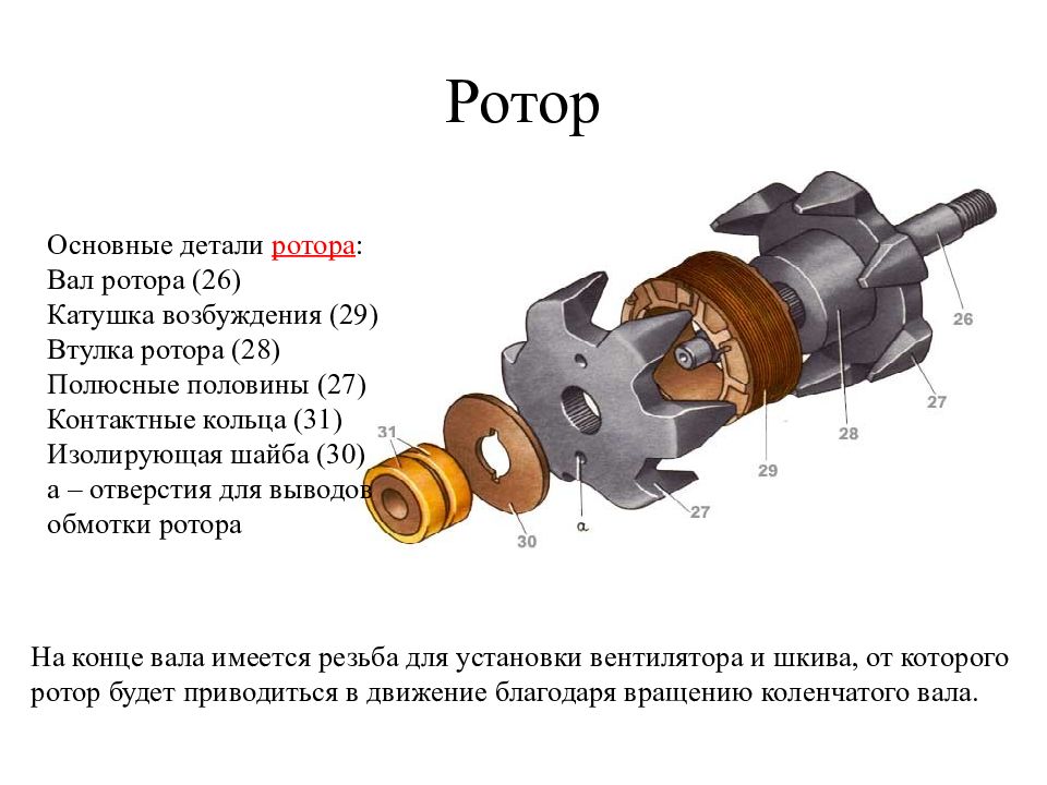 Ротор предназначен для. Из чего состоит ротор автомобильного генератора. Ротор генератора авто из чего состоит. Наименование деталей ротора генератора. Ротор автомобильного генератора схема.