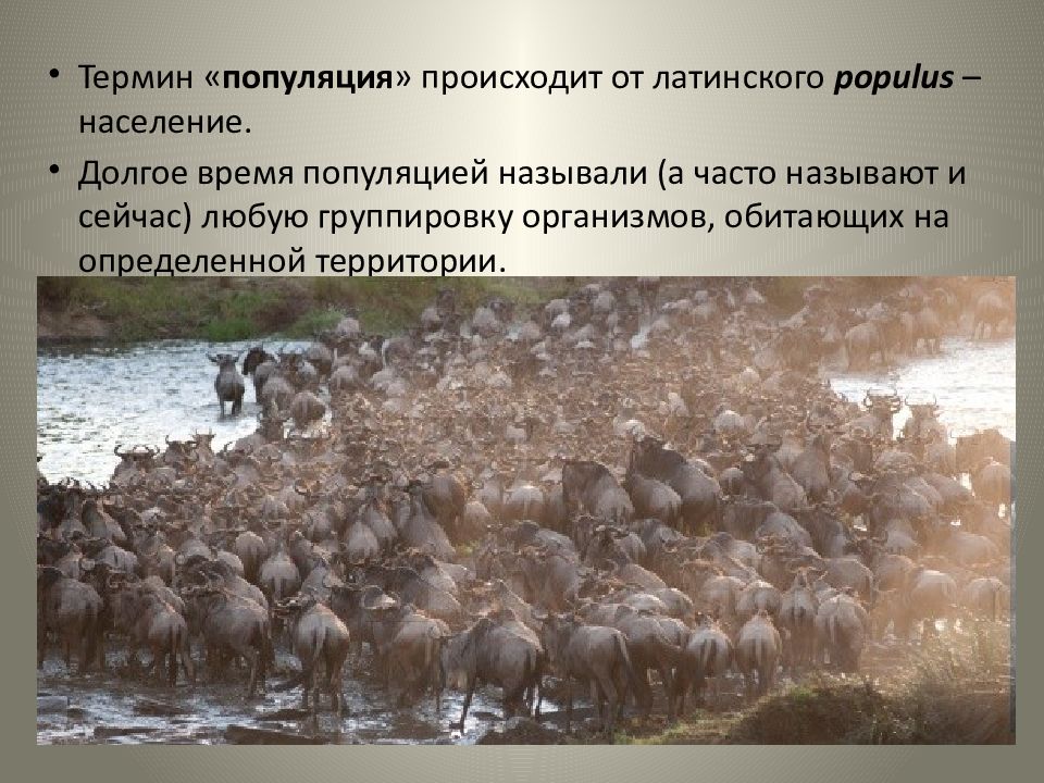 Термин популяция. Слайд на тему популяция. Популяция урок. Популяция картинки. Популяция презентация.