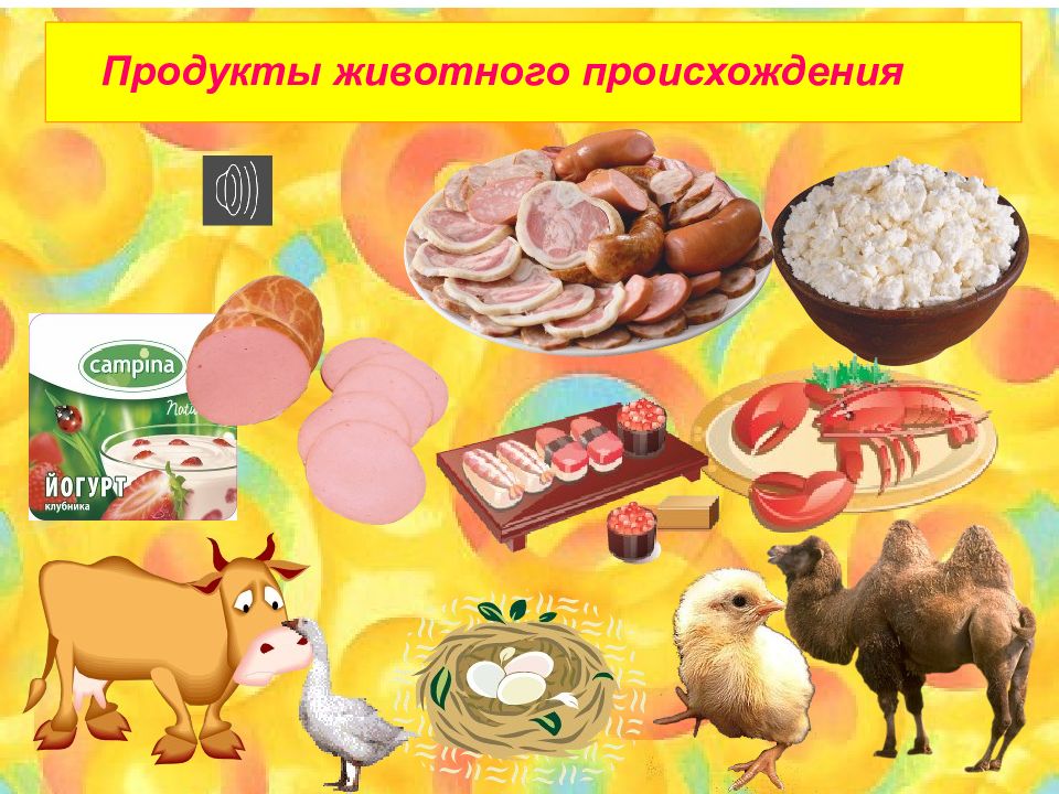 Какая животная пища. Продукты животного происхождения. Животные продукты питания. Животные продукты питания список. Продукты питания из животных.