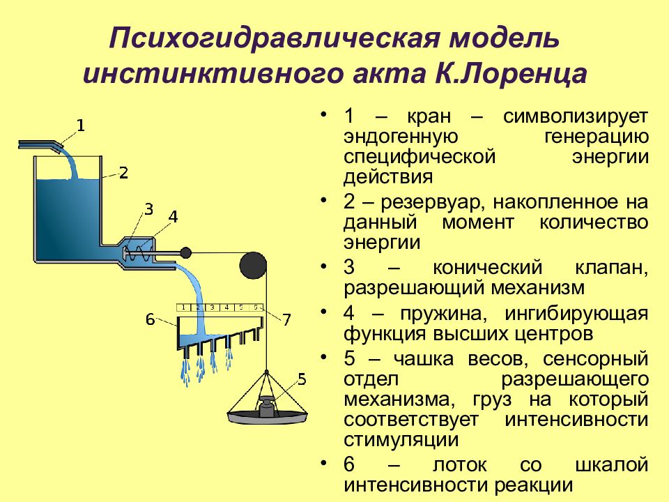 Почему план лоренца не сработал