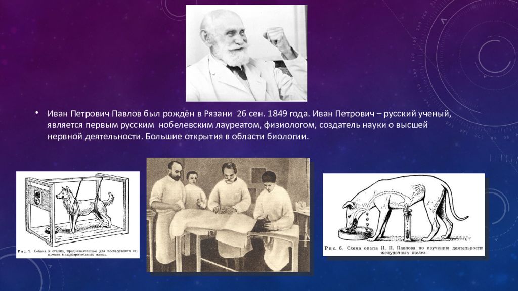 Известному русскому ученому физиологу и п павлову