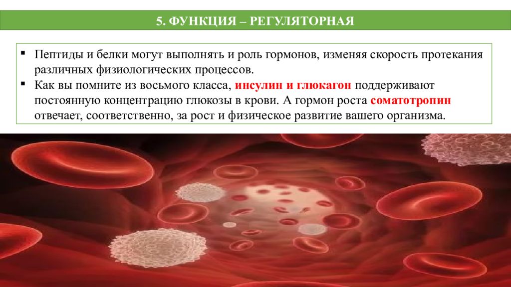 Транспортная функция белка. Белок с регуляторной функцией. Функции белков. Регуляторную функцию выполняют белки. Функции сократительных и регуляторных белков.