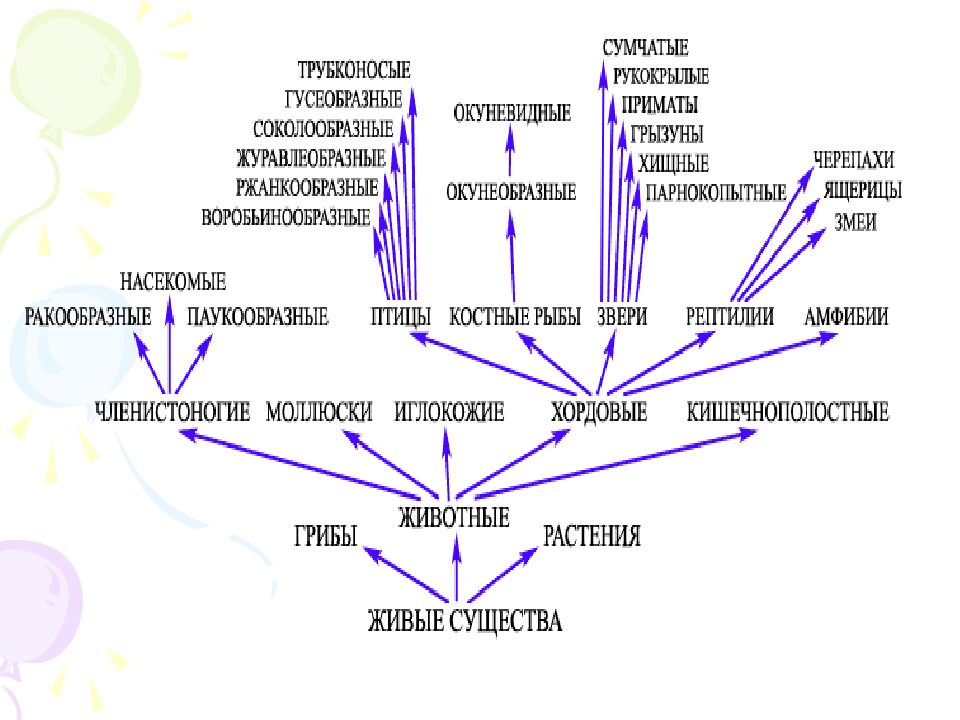 На какие царства разделяют в настоящее время все известные организмы?