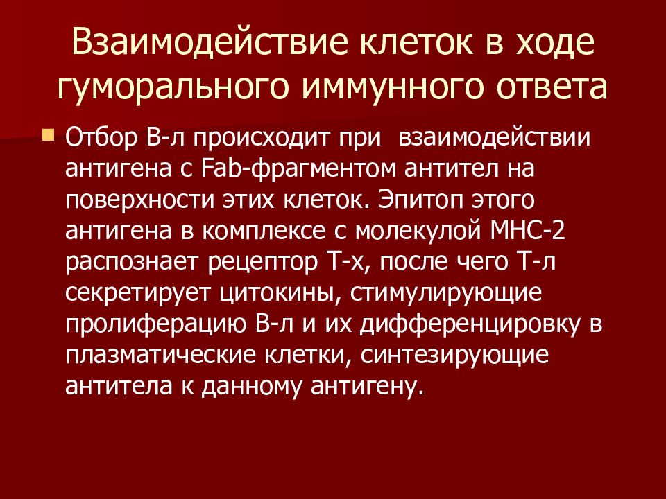 Взаимодействие клеток. Взаимодействие клеток в ходе гуморального иммунного ответа. Взаимодействие клеток в иммунном ответе. Механизмы взаимодействия клеток в иммунном ответе. Взаимодействие клеток при иммунном ответе.