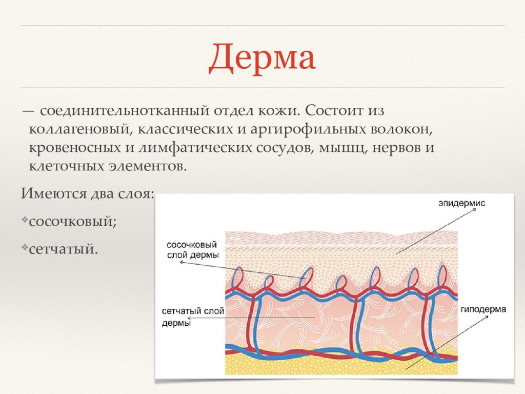 Электронная кожа презентация