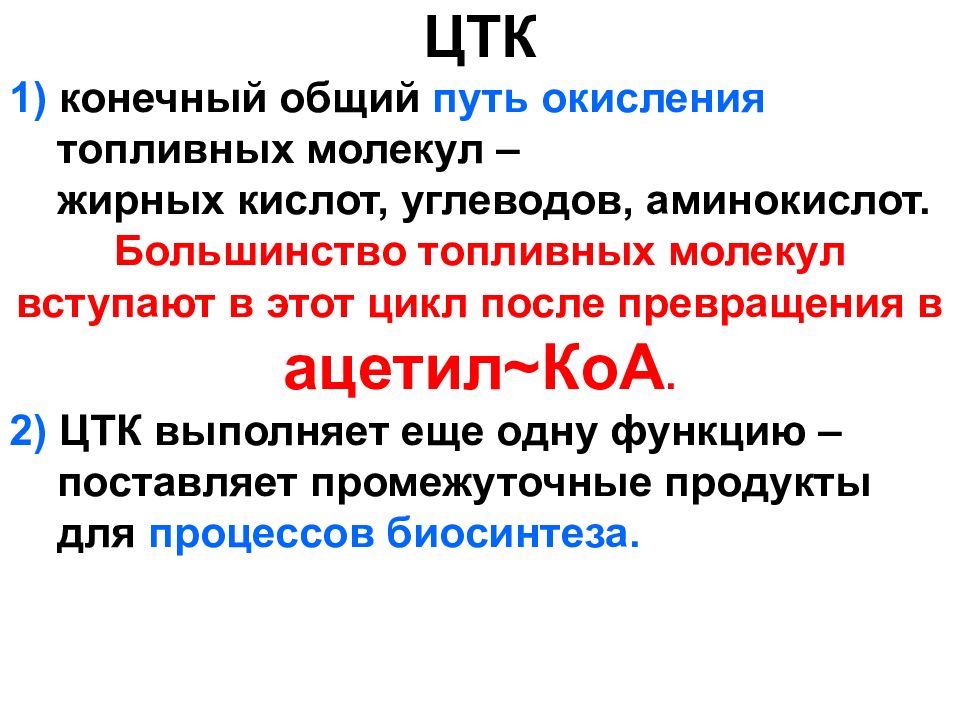 УГЛЕВОДЫ: функции и обмен УГЛЕВОДЫ: функции и обмен