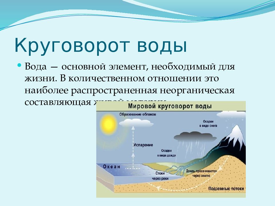 Круговорот воды в биосфере схема 11 класс