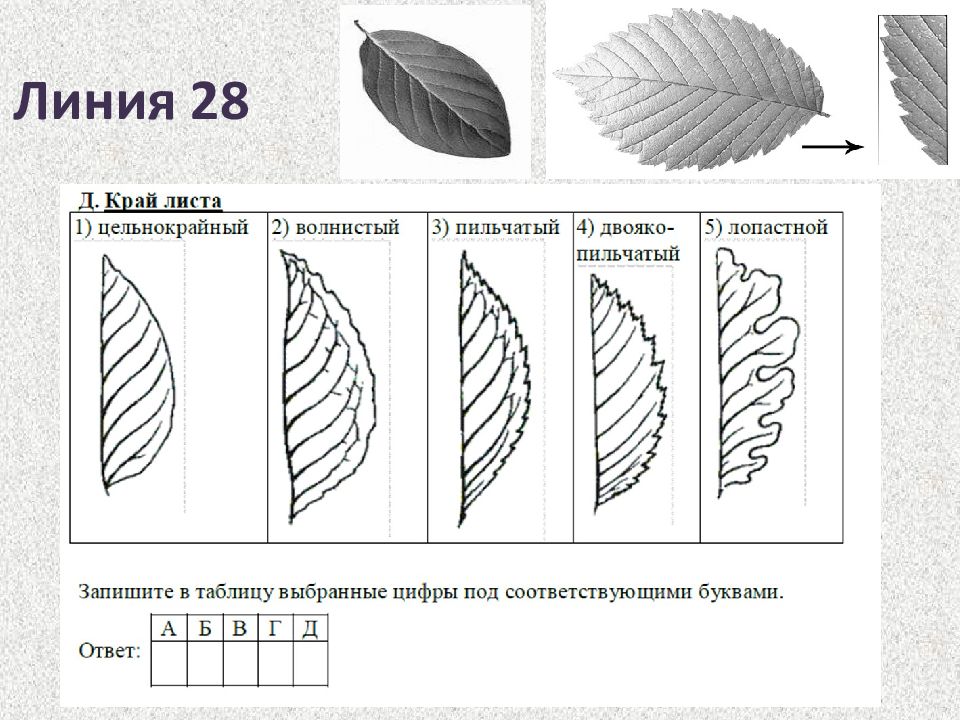 Как изобразить на листе цель