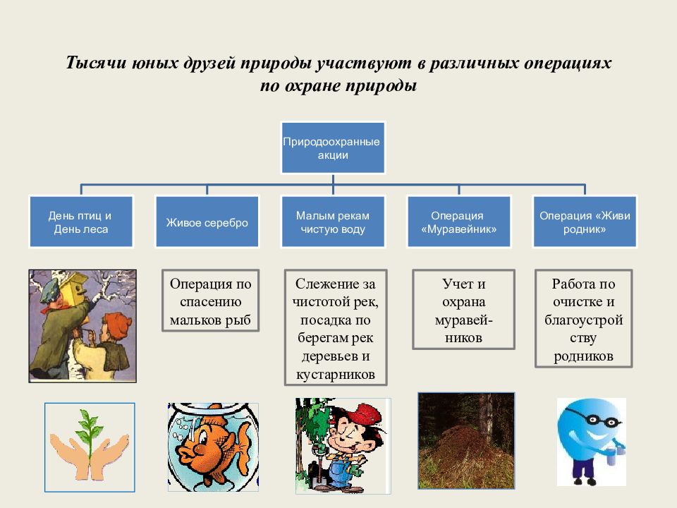 Юннатское движение в россии презентация