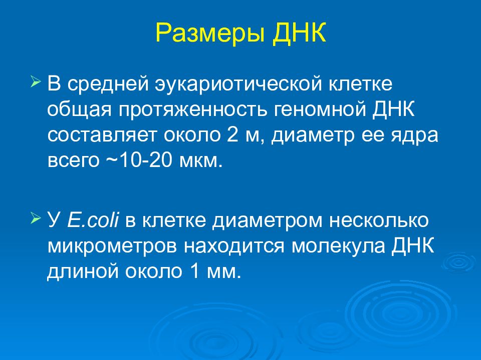 Какой длины днк. Размер ДНК. Толщина ДНК. Размер ДНК человека. ДНК В объеме.