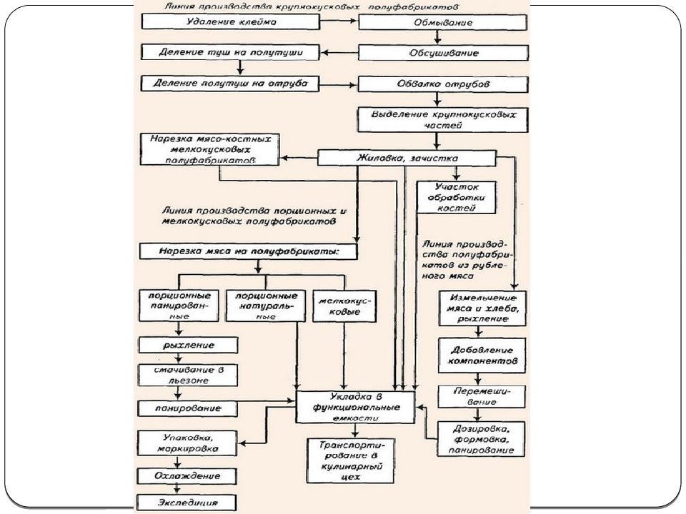 Технологическая схема обработки мяса в мясном цехе