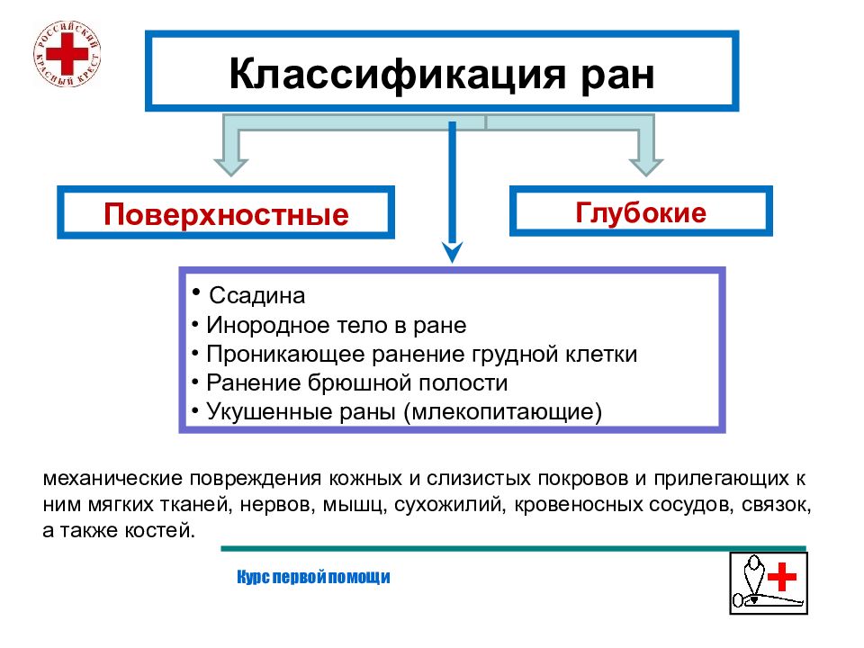 Организационно правовые аспекты оказания первой помощи презентация