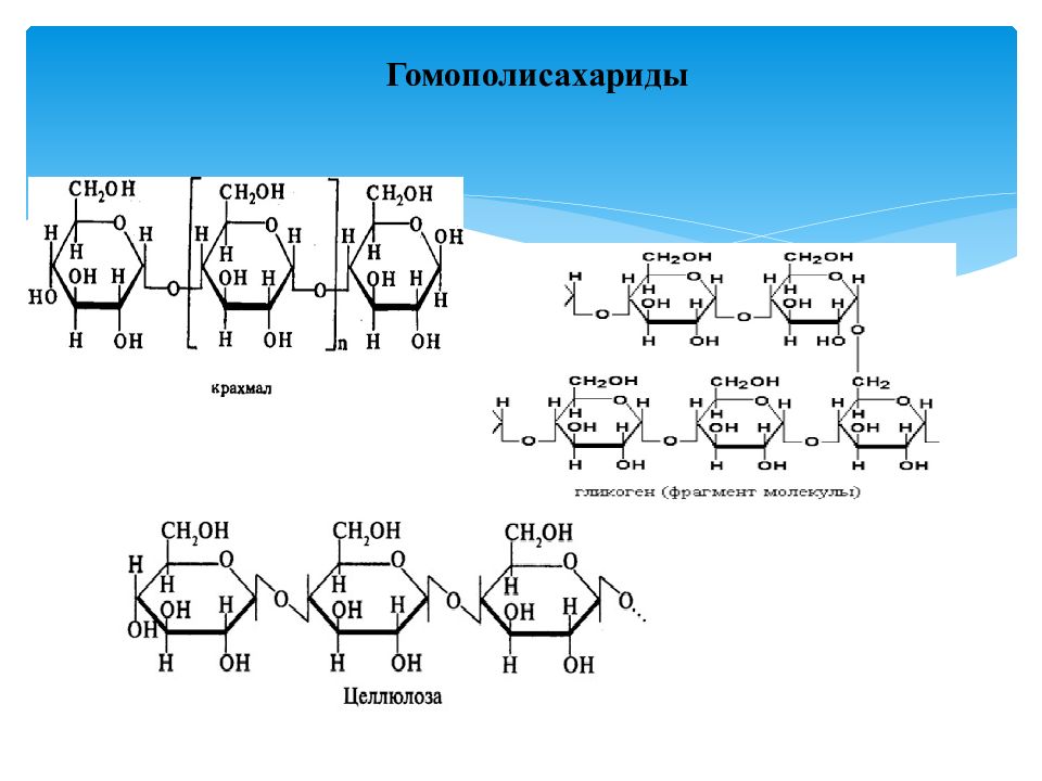 Целлюлоза представители. Крахмал гликоген Целлюлоза формулы. Крахмал гликоген клетчатка формула. Гомополисахариды: крахмал (амилоза и амилопектин). Строение амилозы и амилопектина.