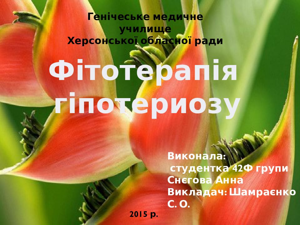 Генічеське медичне училище Херсонської обласної ради Виконала: студентка 42Ф