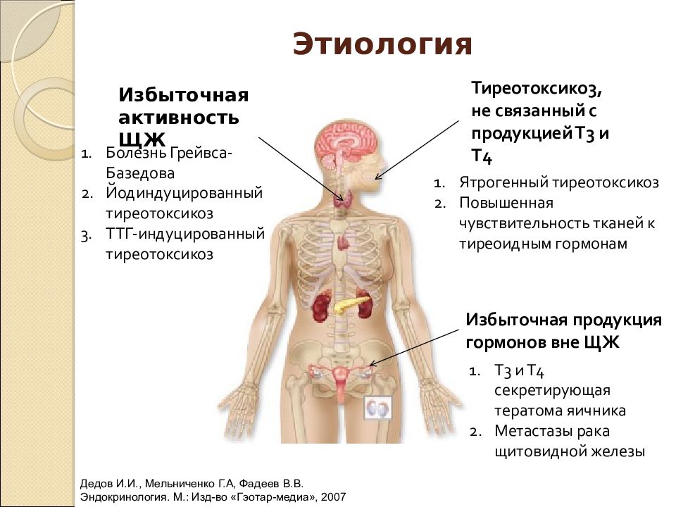 Тиреотоксикоз симптомы