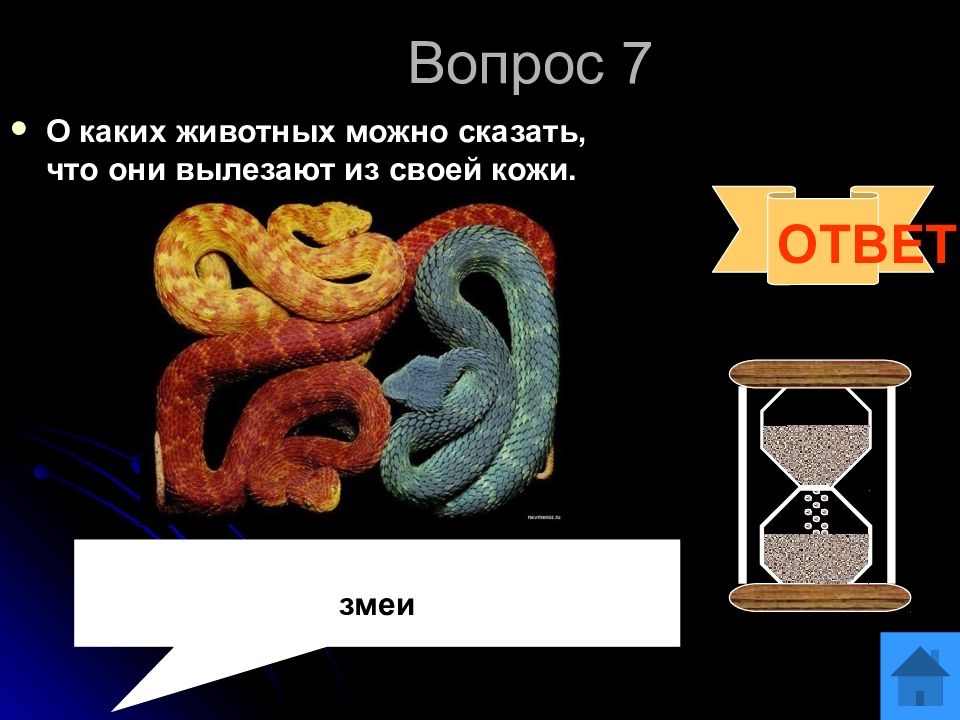 Змей ответы. Вопрос к ответу змея. Вопросы про змей с ответами. Вопросы с ответами про змею. Загадка с ответом змейка.